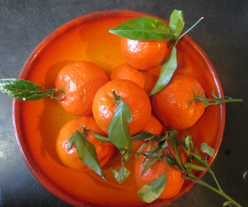 Clementines (500x419).jpg